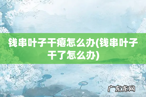 钱串叶子干了怎么办 钱串叶子干瘪怎么办