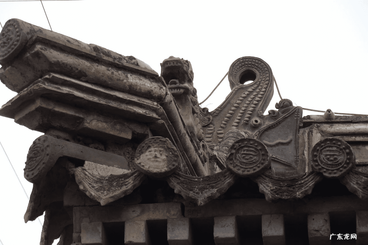 家里飞进蝙蝠风水解说 家里蝙蝠多的风水