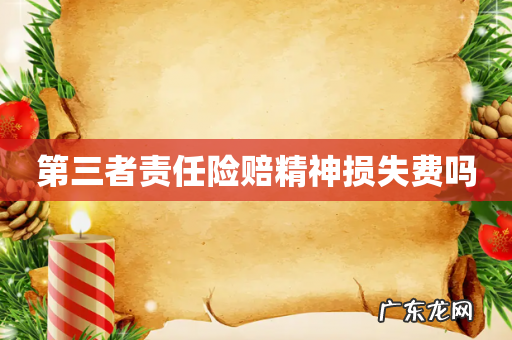 第三者责任险赔精神损失费吗