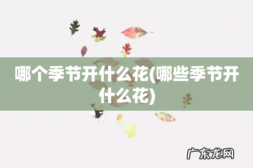 哪些季节开什么花 哪个季节开什么花