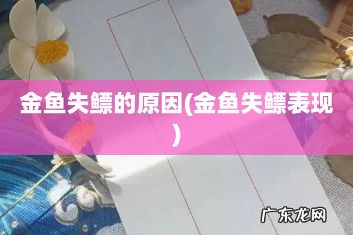 金鱼失鳔表现 金鱼失鳔的原因