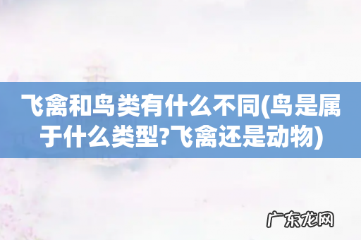 鸟是属于什么类型?飞禽还是动物 飞禽和鸟类有什么不同
