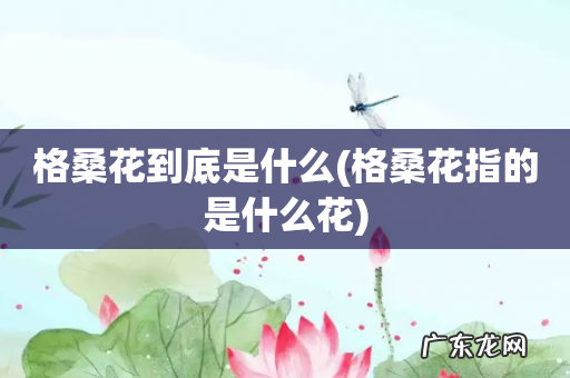 格桑花指的是什么花 格桑花到底是什么