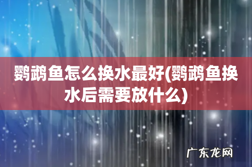 鹦鹉鱼换水后需要放什么 鹦鹉鱼怎么换水最好