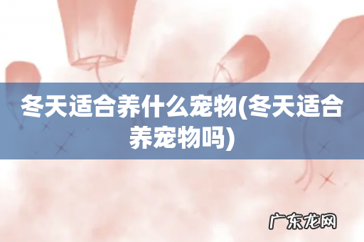 冬天适合养宠物吗 冬天适合养什么宠物