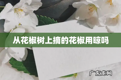 从花椒树上摘的花椒用晾吗