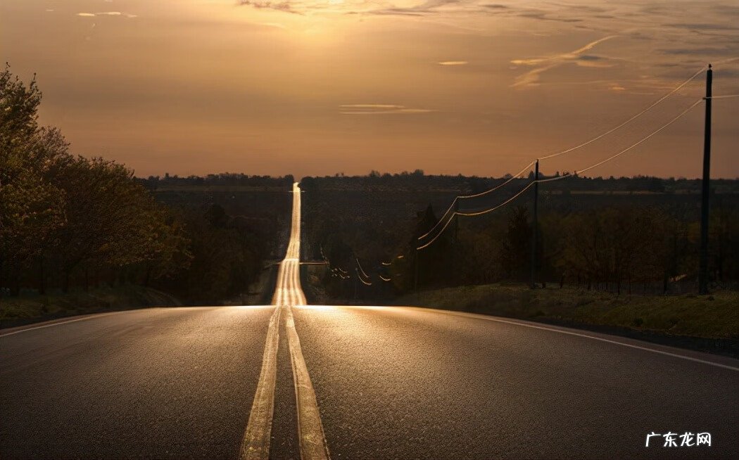 梦的怒放的意思是什么 梦的怒放什么意思