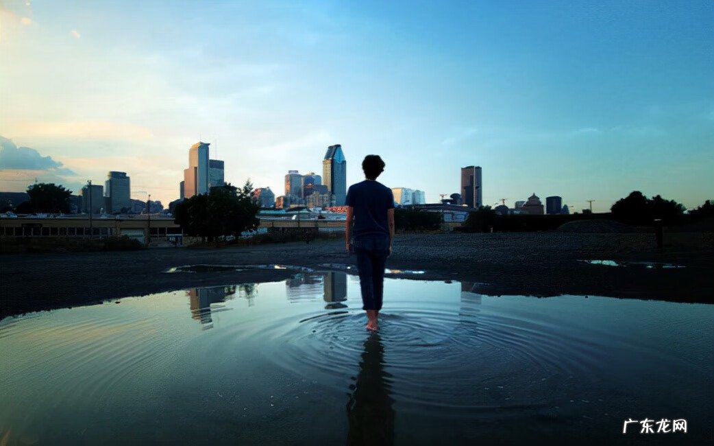 梦的怒放的意思是什么 梦的怒放什么意思