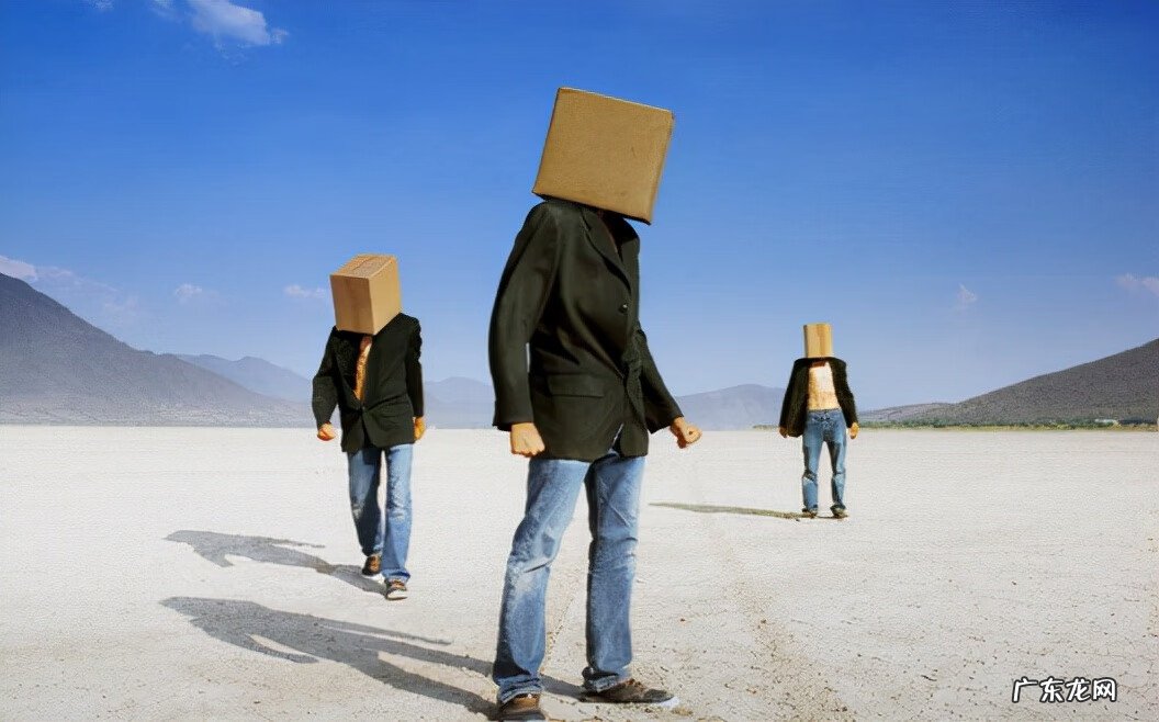 梦的怒放的意思是什么 梦的怒放什么意思