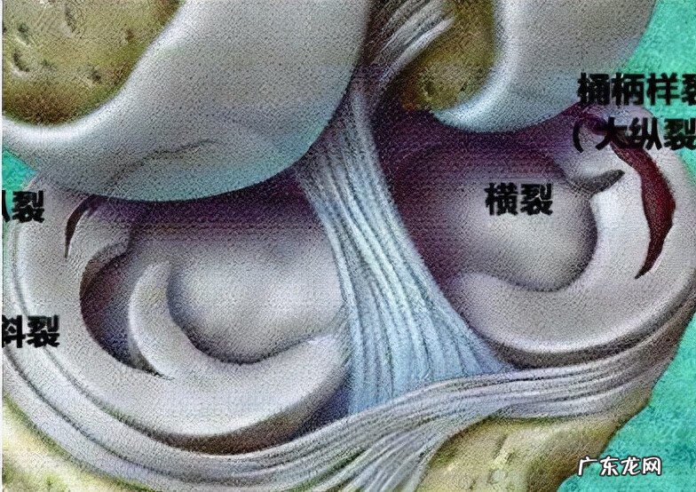 穿衣镜玻璃破了能换吗 破了的镜子怎么修好