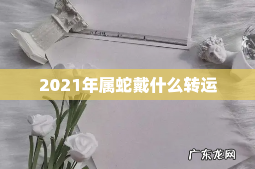 2021年属蛇戴什么转运