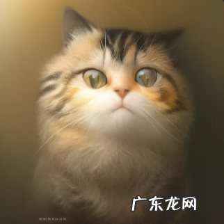 新玩法!火爆抖音的AI绘画,用了这个工具,你也可以无限畅玩