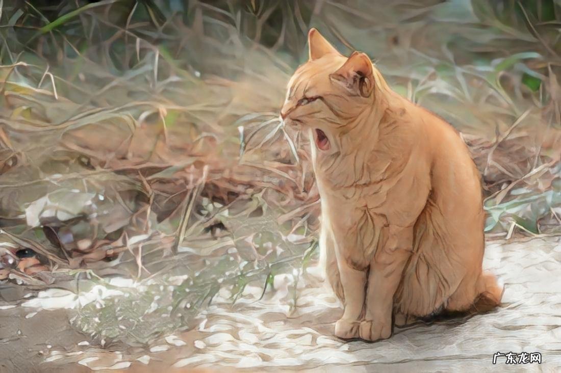 新玩法!火爆抖音的AI绘画,用了这个工具,你也可以无限畅玩