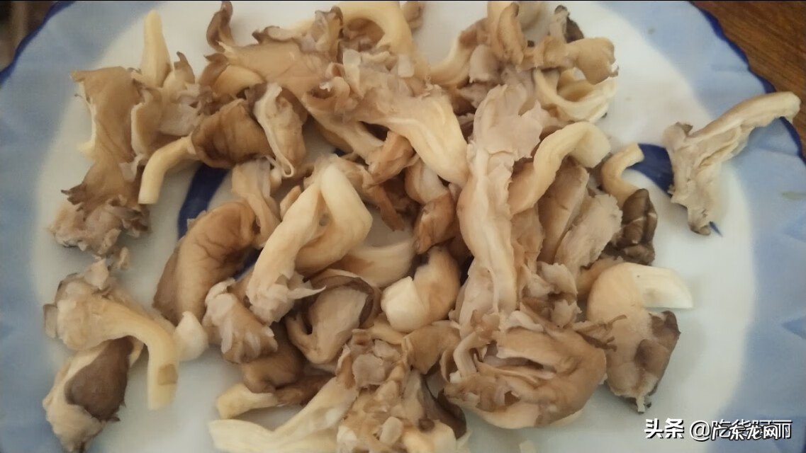 椒盐蘑菇的做法大全酥脆窍门 椒盐蘑菇的做法步骤