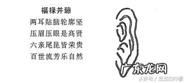 风水虎地 风水穴位在虎耳怎么解释