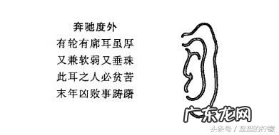 风水虎地 风水穴位在虎耳怎么解释