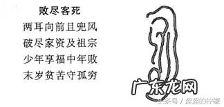 风水虎地 风水穴位在虎耳怎么解释