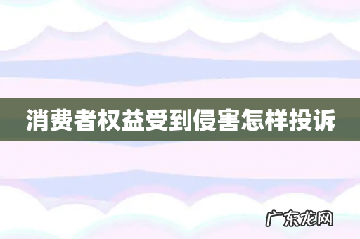 消费者权益受到侵害怎样投诉