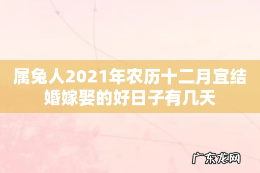 属兔人2021年农历十二月宜结婚嫁娶的好日子有几天