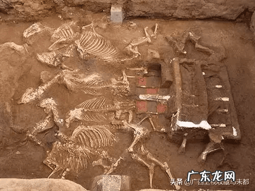 北邮风水 北京大学有风水学吗