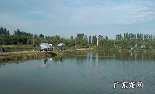 干枯的池塘图片 风水怎么看池塘干枯