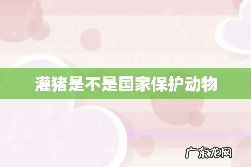 灌猪是不是国家保护动物