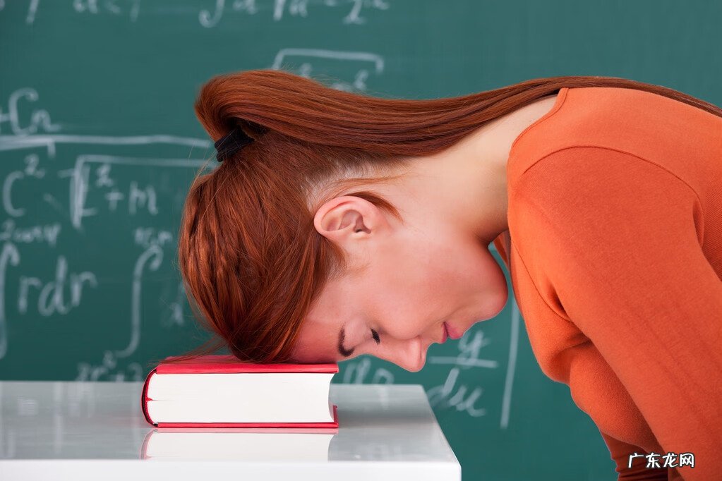 作文《初二》 初二语文作文最经常考的范文