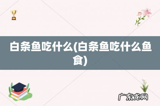 白条鱼吃什么鱼食 白条鱼吃什么