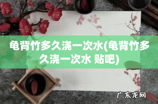 龟背竹多久浇一次水 贴吧 龟背竹多久浇一次水