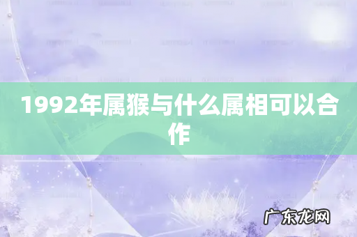 1992年属猴与什么属相可以合作