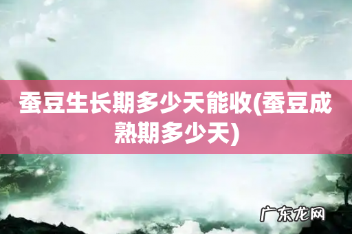 蚕豆成熟期多少天 蚕豆生长期多少天能收