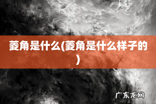 菱角是什么样子的 菱角是什么