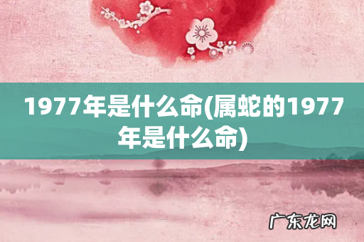 属蛇的1977年是什么命 1977年是什么命