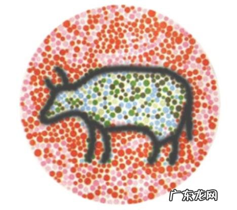 同仁医院眼科号好挂吗 同仁眼科挂号多少钱