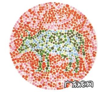 同仁医院眼科号好挂吗 同仁眼科挂号多少钱