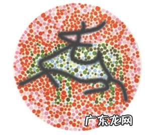 同仁医院眼科号好挂吗 同仁眼科挂号多少钱