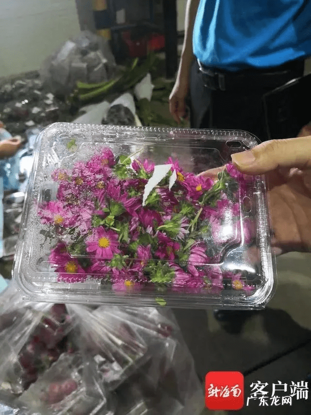 菜市场买冻品好卖吗 菜市场做冻品