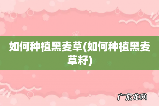 如何种植黑麦草籽 如何种植黑麦草