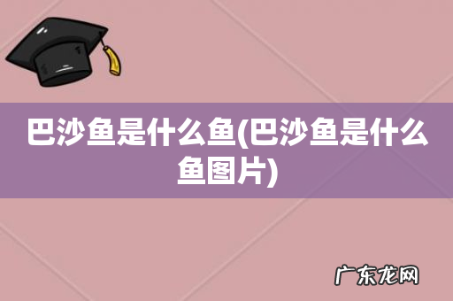 巴沙鱼是什么鱼图片 巴沙鱼是什么鱼