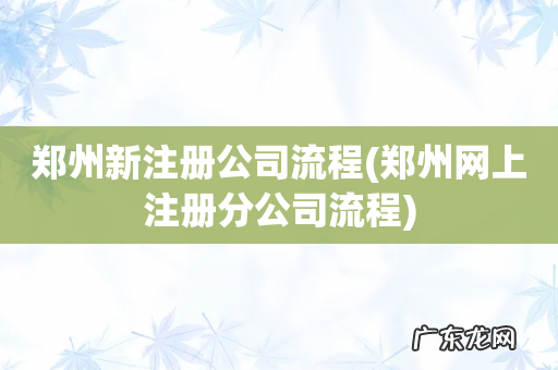 郑州网上注册分公司流程 郑州新注册公司流程