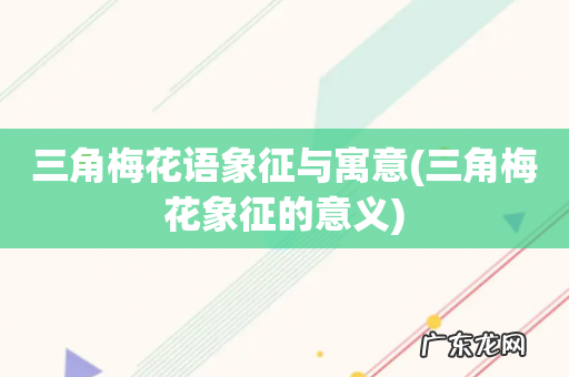 三角梅花象征的意义 三角梅花语象征与寓意