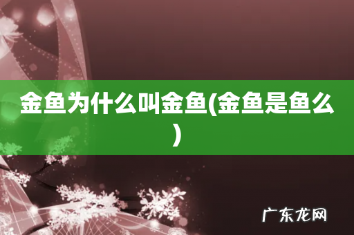 金鱼是鱼么 金鱼为什么叫金鱼