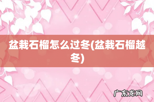 盆栽石榴越冬 盆栽石榴怎么过冬