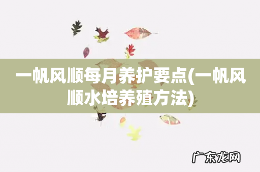 一帆风顺水培养殖方法 一帆风顺每月养护要点