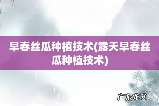 露天早春丝瓜种植技术 早春丝瓜种植技术