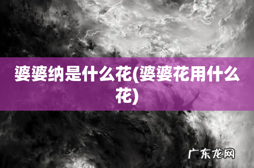 婆婆花用什么花 婆婆纳是什么花