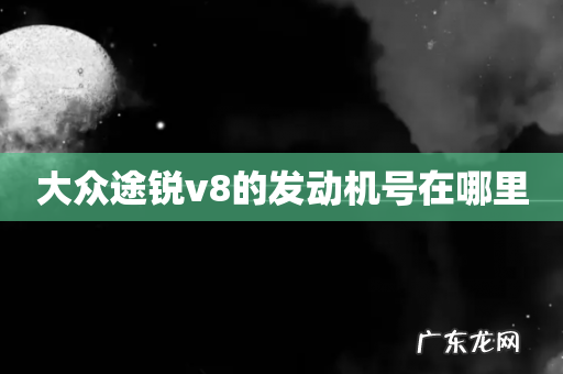 大众途锐v8的发动机号在哪里