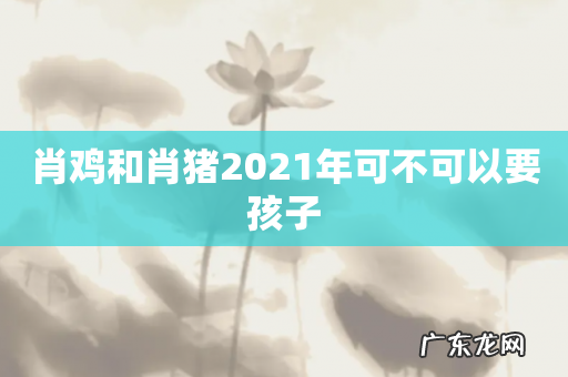 肖鸡和肖猪2021年可不可以要孩子