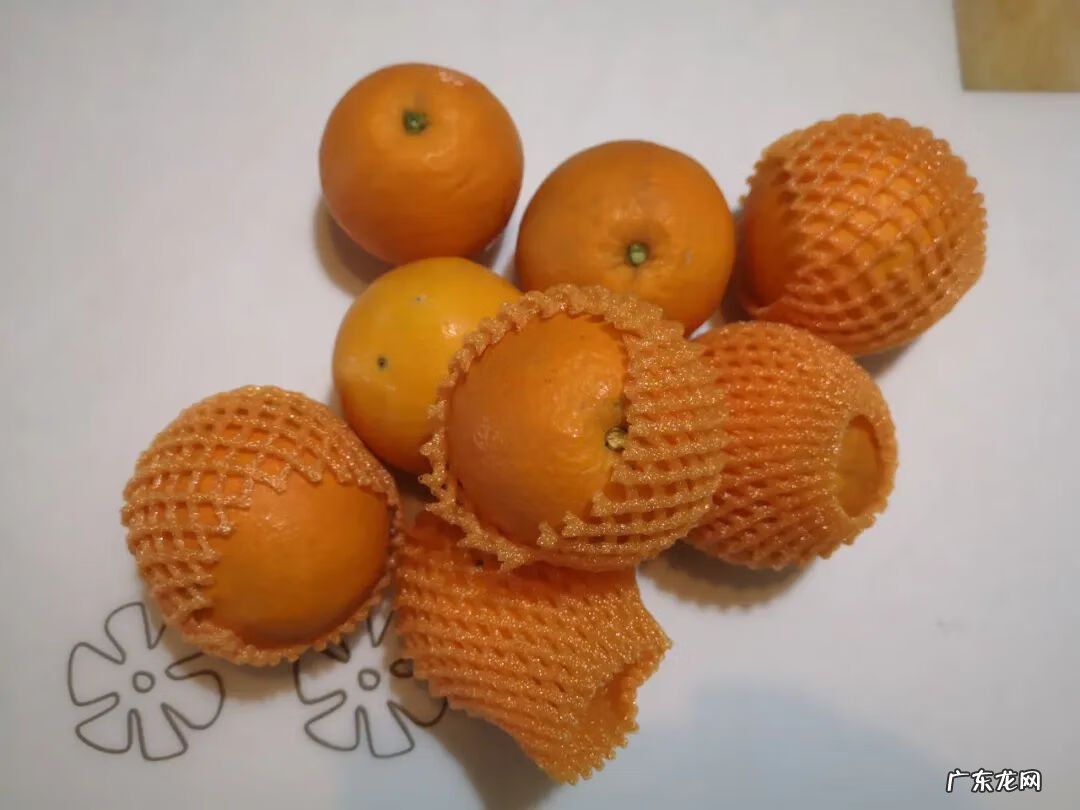 营养师资料书 营养学书籍下载