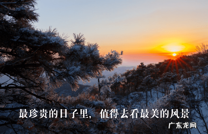 新年祝福的话语 新年祝福留言板